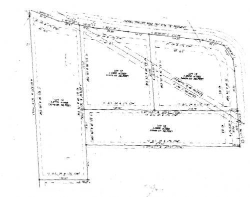 Lewis Auction